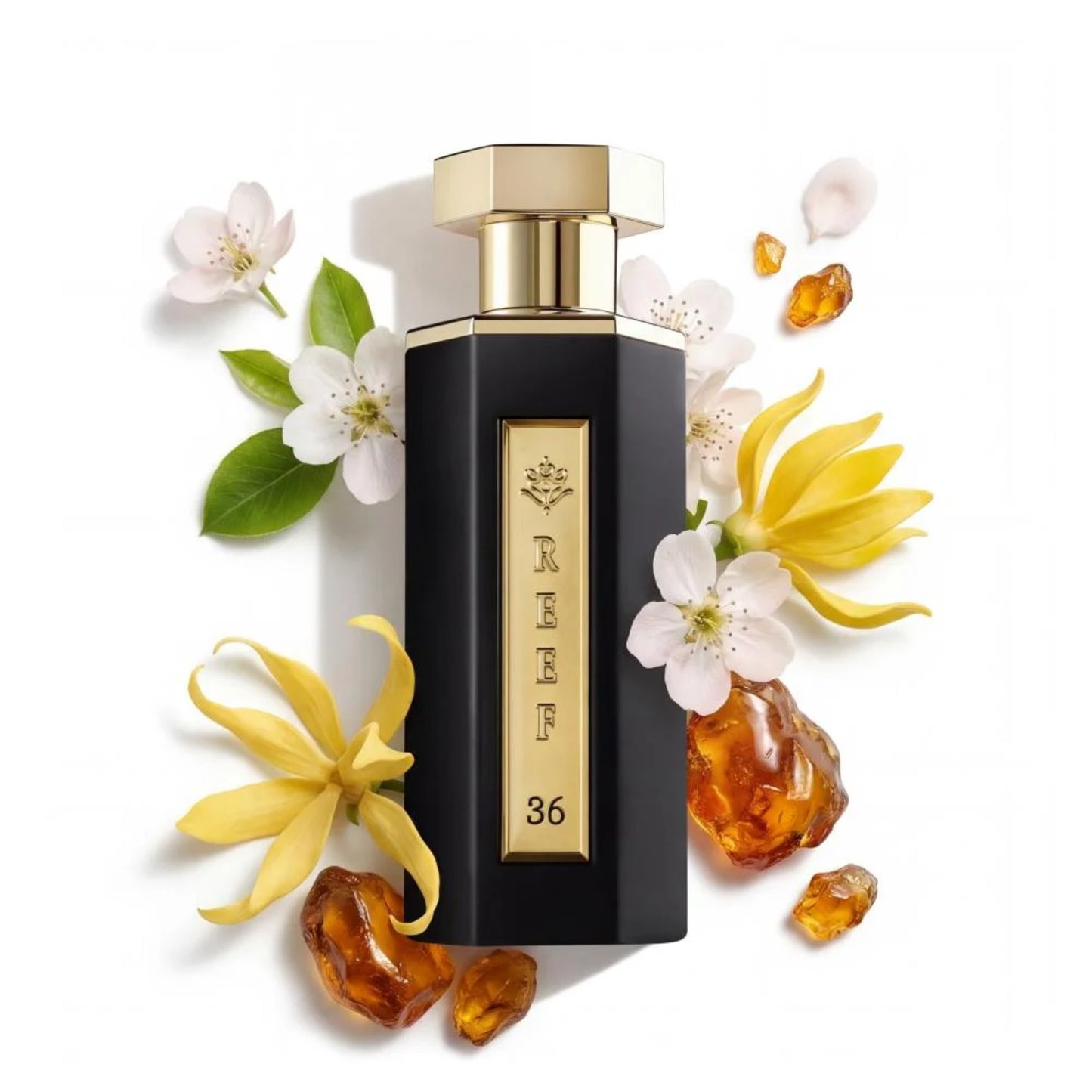 Reef - 36 100 ML