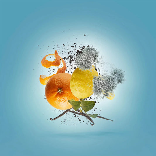 Xerjoff - Erba Pura 100 ML