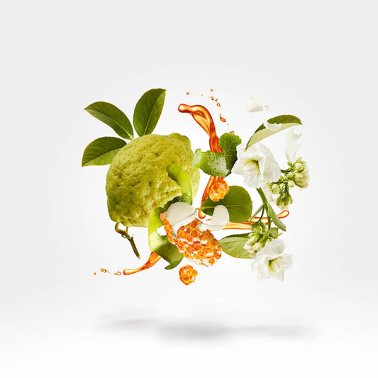 Xerjoff - Naxos 100 ML